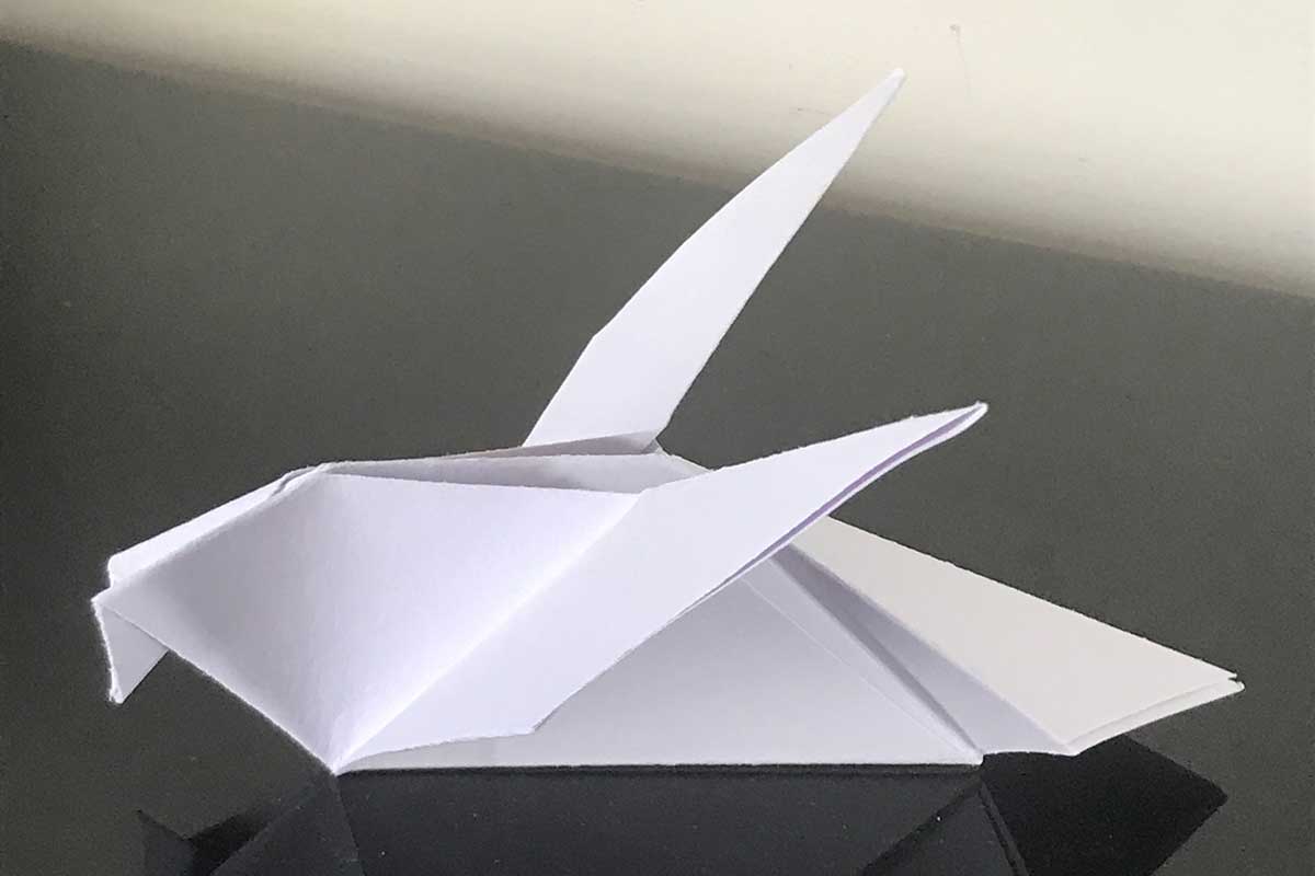 Paper dove