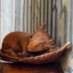 A wooden carving of a sleeping mouse in Christ Church Cathedral.